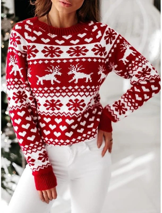 Pull de noel